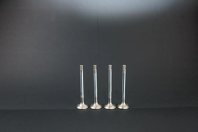 Клапан выпускной 2108.1007012-01-Ч ГАЗОВЫЙ